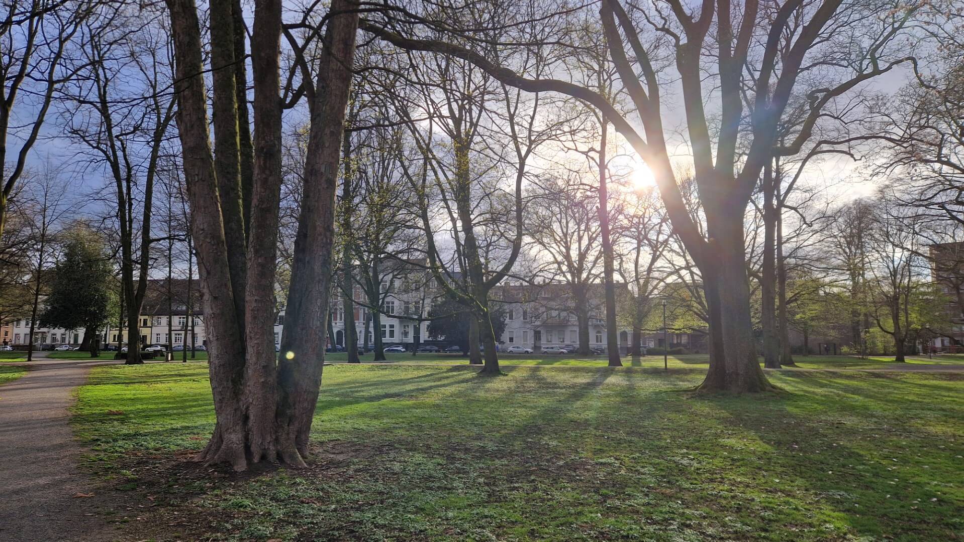 Blick in den Stadtgarten
